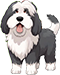 The Strutting Pooch - Clifton Park